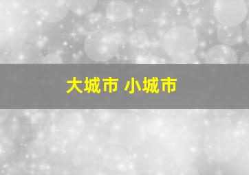 大城市 小城市